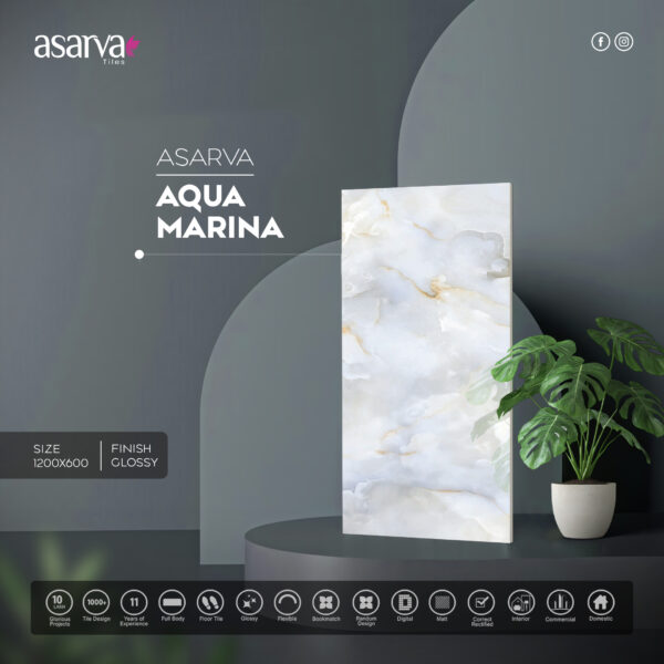 AQUA MARINA ASARVA