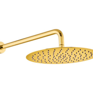 300MM ROUND SHOWER WITH ARM -FG