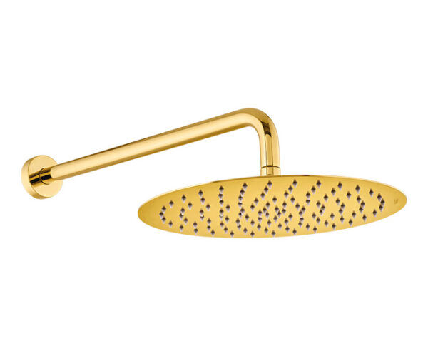 300MM ROUND SHOWER WITH ARM -FG