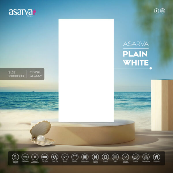 PLAIN WHITE ASARVA